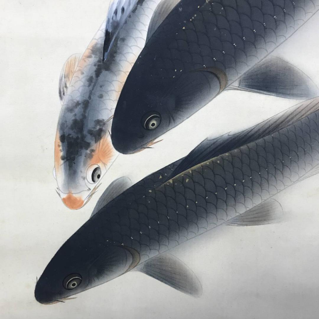 真作/森口白鯰/游鯉図/遊鯉図/鯉図/松鯉図/掛軸/名家伝来AE-387