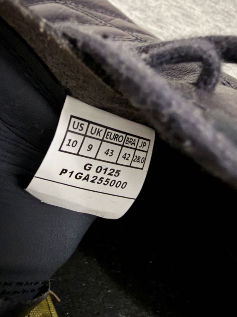 モレリア PROTO JAPAN Ltd AG