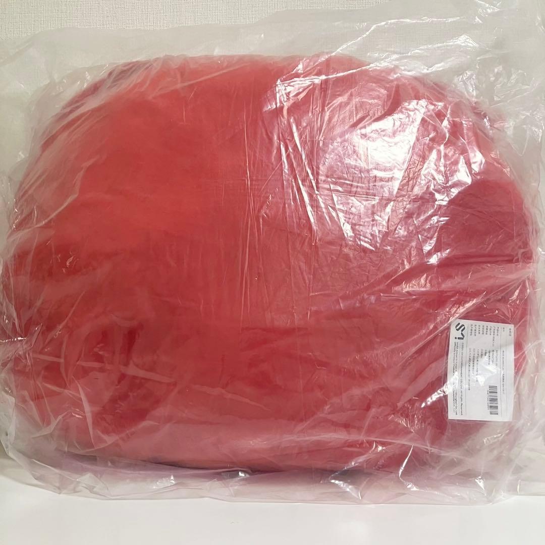 riize ショウタロウ トルビョン ライズ 中国限定 抱きまくら