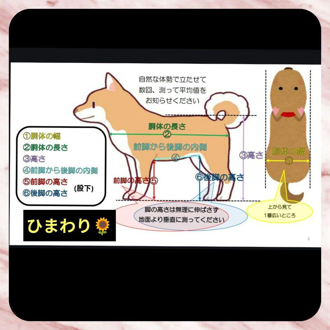 フレブル4輪　リハビリ　食事補助　犬用歩行器　介護補助　犬の歩行器