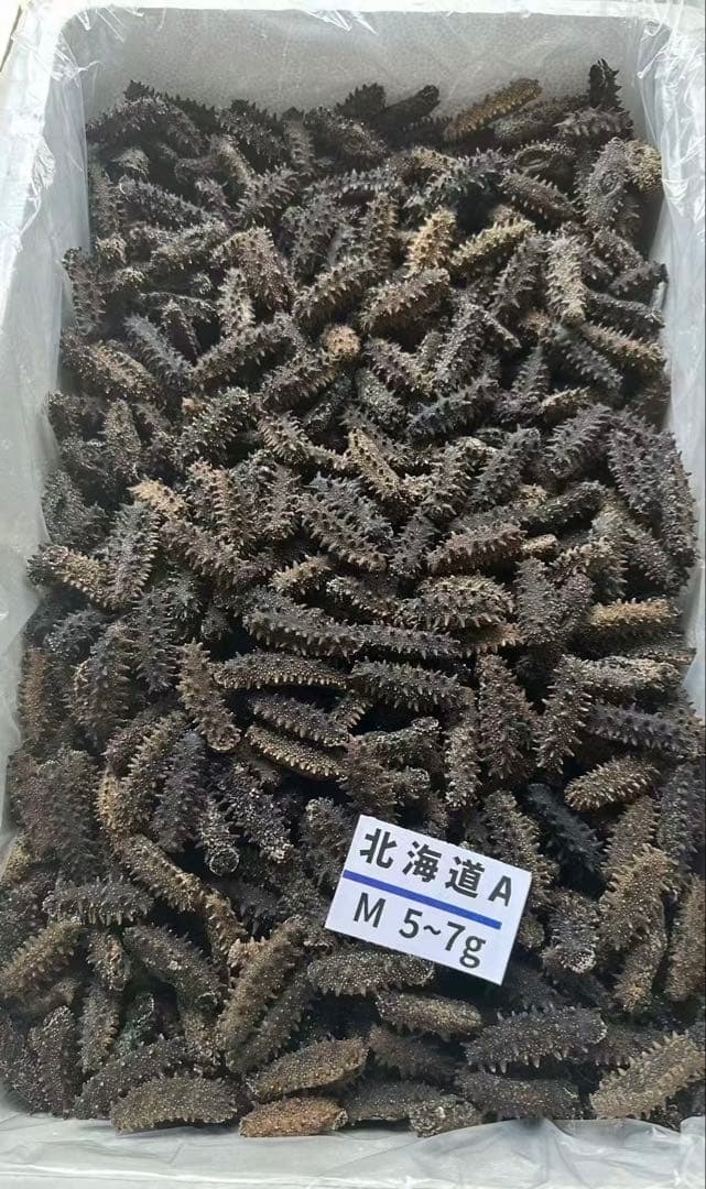【北海道産】 乾燥なまこ 厳選A級品 100g Mサイズ　5.0g-7.0g