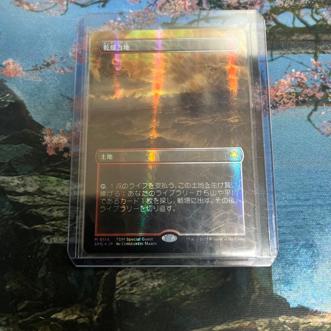 【タケ】MTG 乾燥台地/Arid Mesa ドラゴンスケイルFoil