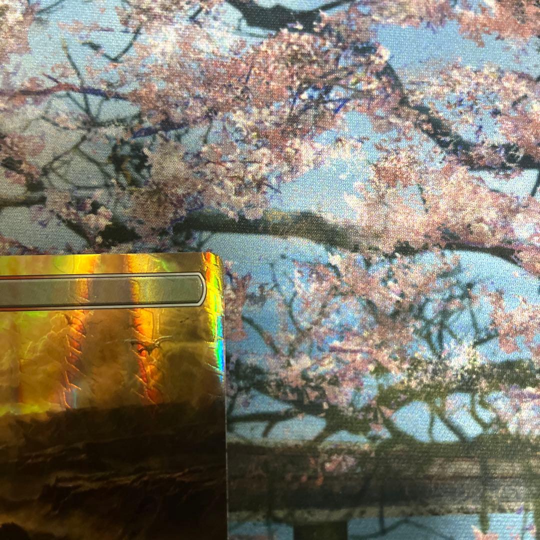 【タケ】MTG 乾燥台地/Arid Mesa ドラゴンスケイルFoil