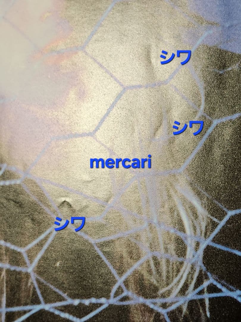 Ozzy Osbourne/オジー・オズボーンA1ポスター/ピン穴無し/匿名発送