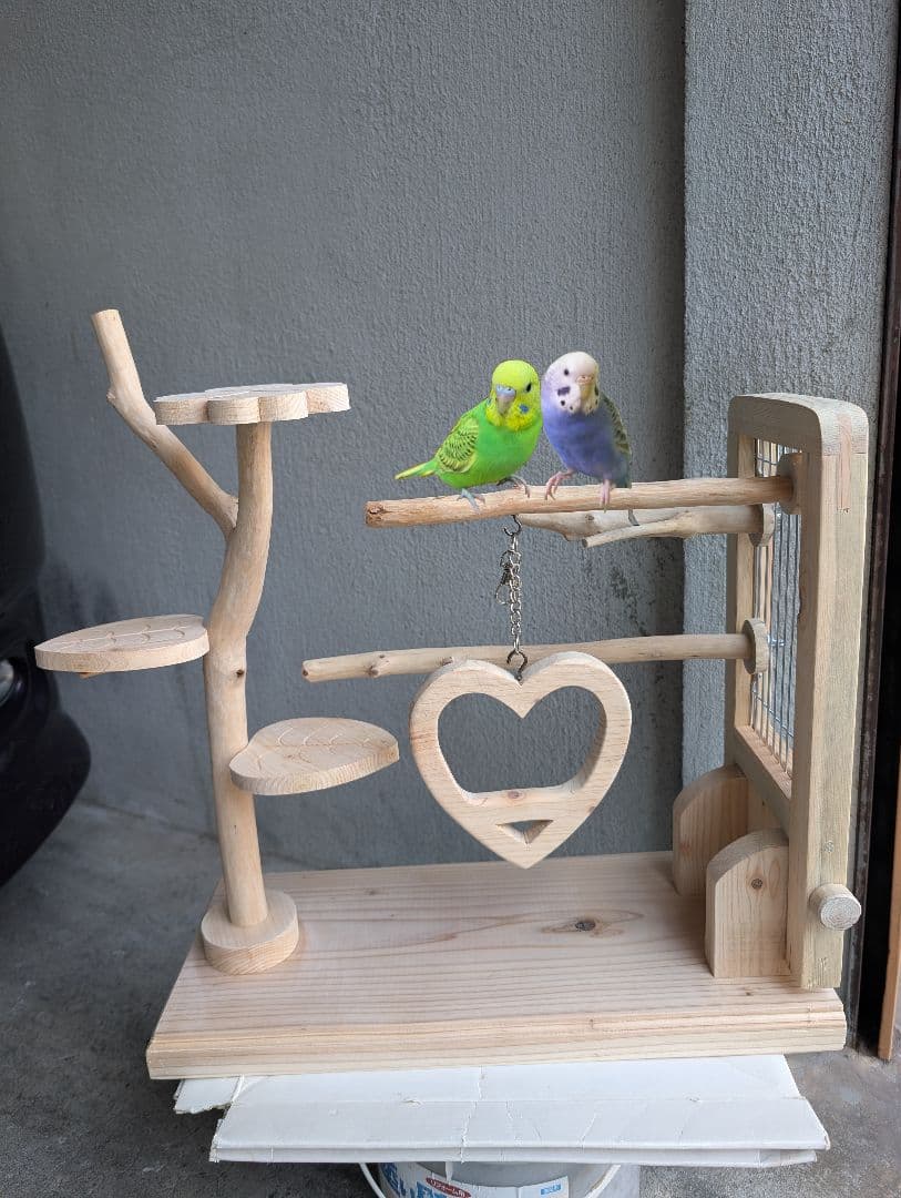 バードアスレチック30 折りたたみ式、止まり木アレンジ可能