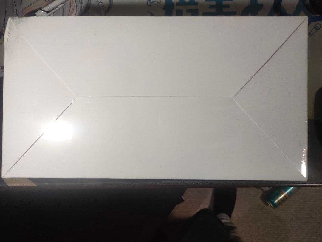 【新品未開封】LABUBU Big into Energy シュリンク付き ぬい