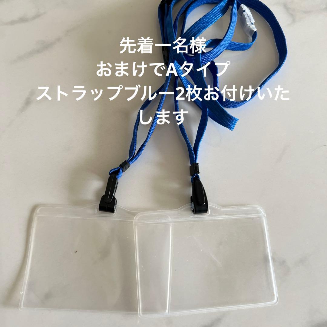 透明カードホルダー まとめ売り