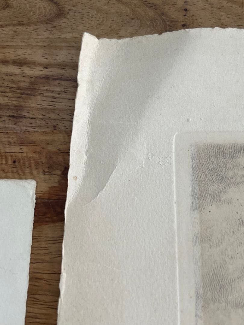 版画　ウィーン サンシュテファン寺院