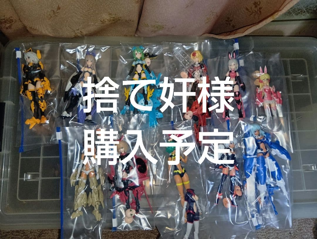 捨て奸様購入予定3０msセット