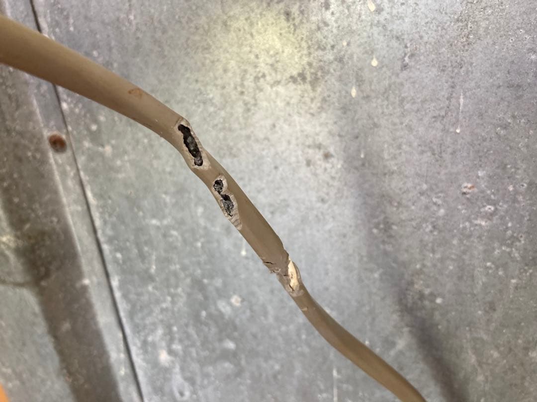 製氷機ホシザキ