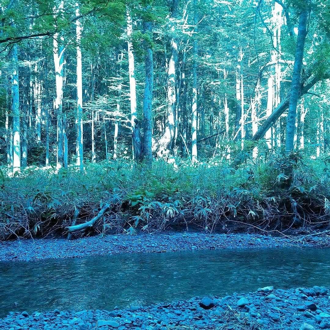 化石　標本　ノジュール原石　アンモナイト　国産　球状コンクリーション