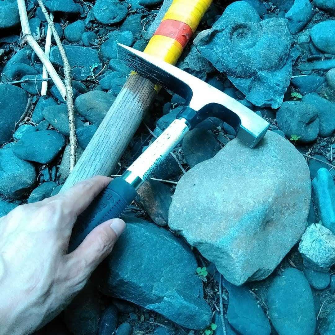 化石　標本　ノジュール原石　アンモナイト　国産　球状コンクリーション