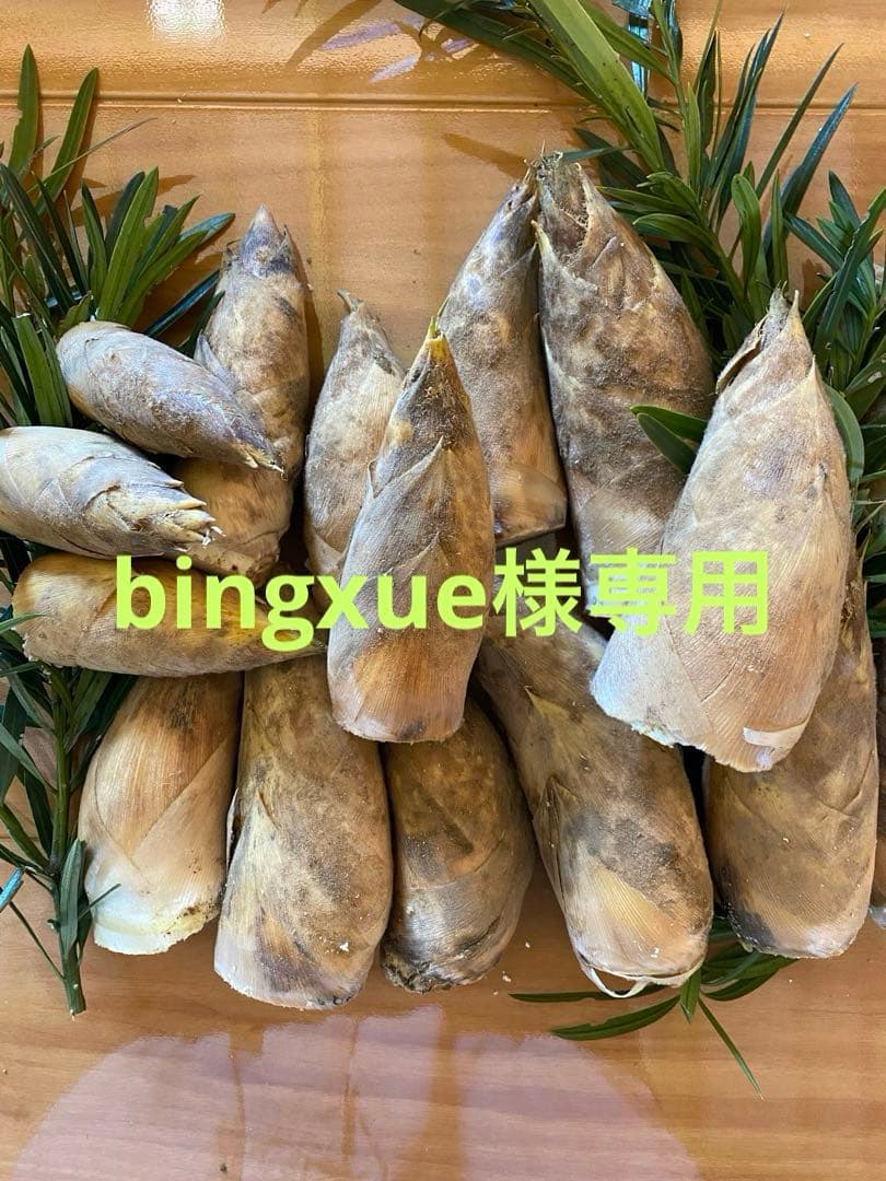 伊勢志摩たけのこ　掘りたてbingxue