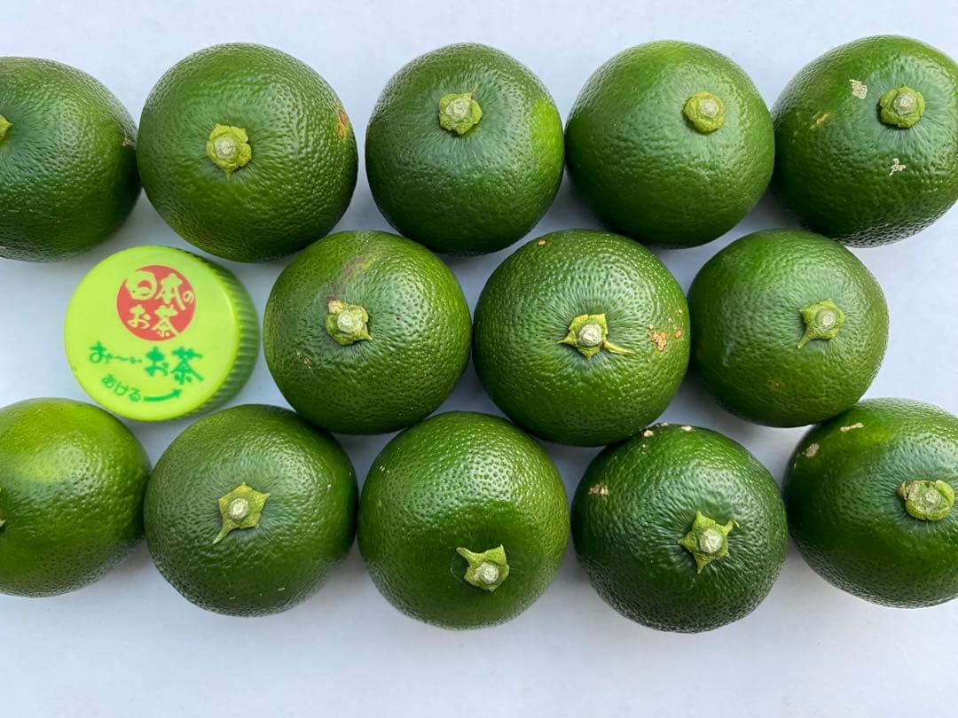 徳島県神山町産　《冷蔵貯蔵すだち》 綺麗なLサイズ　7キロ　　③