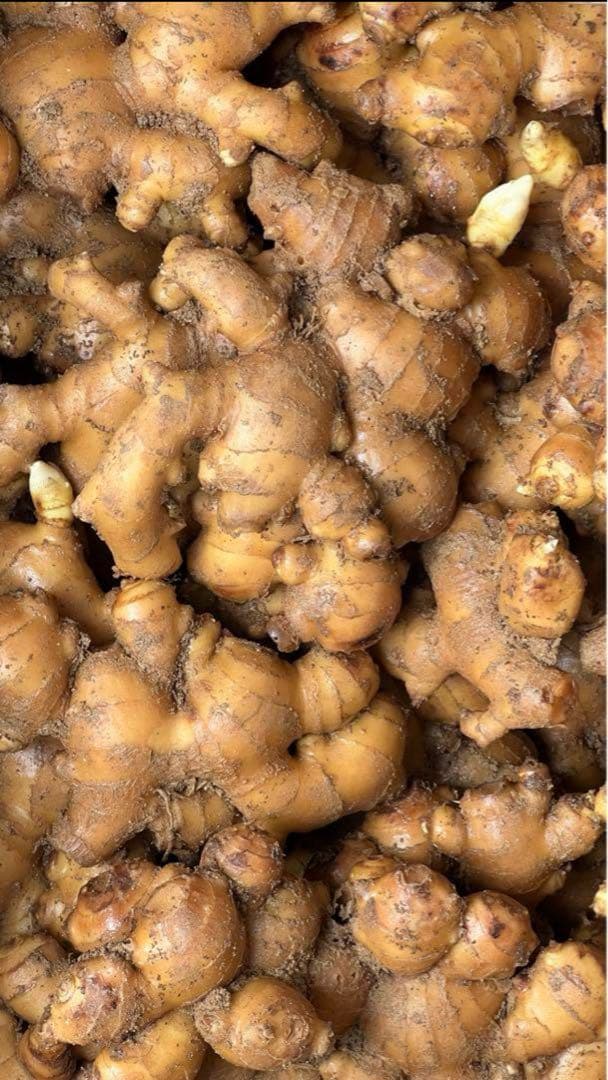 魚*様 生姜 15キロ (オークション商品)