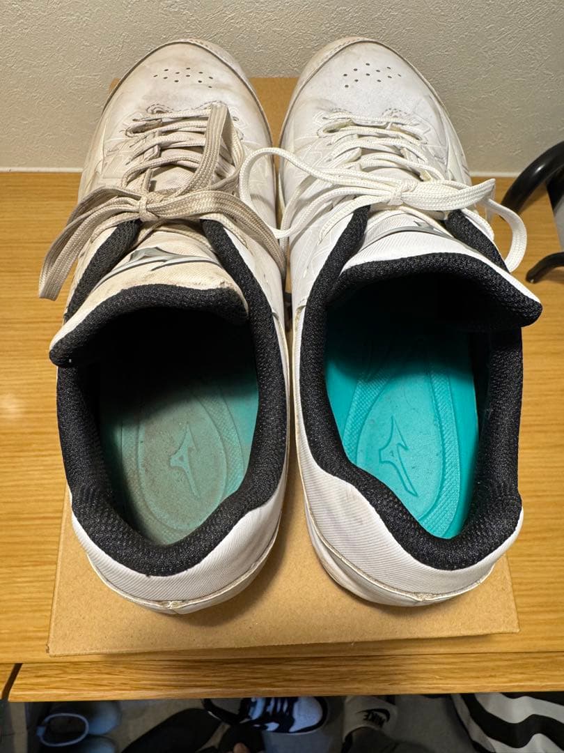 甲子園球場でのみ使用！！MIZUNOミズノ ライトレボバディー2 26.5cm