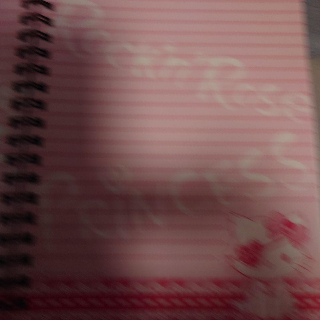 Nana Kitade Charmmy Kitty リングノート A5サイズ