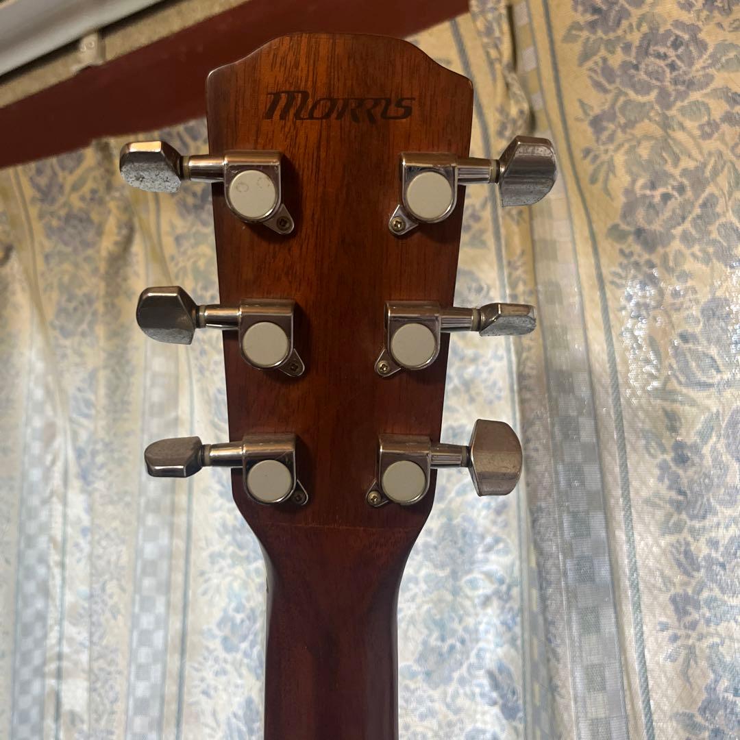 Morris アコースティックギター ナチュラル