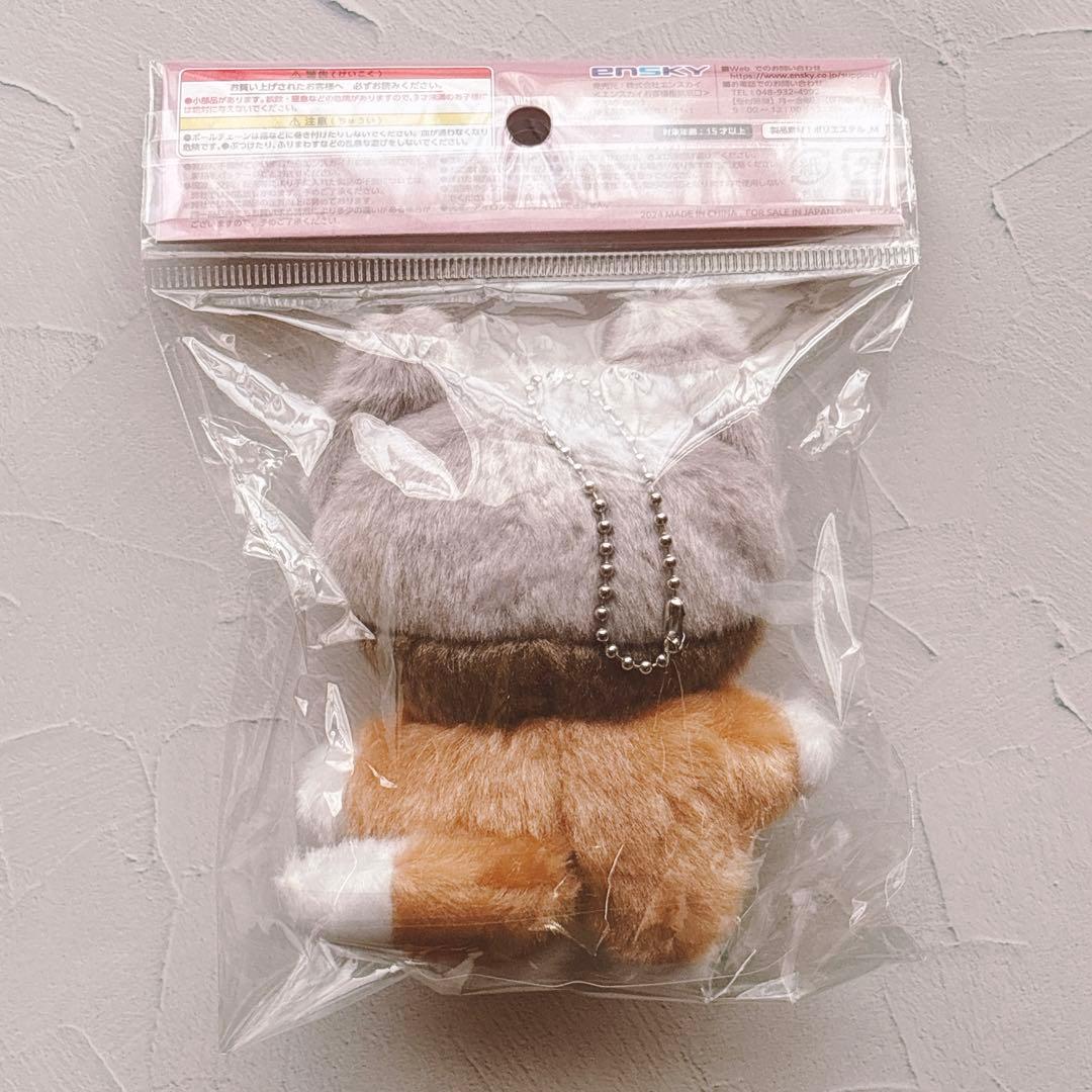 匿名配送・即日発送★ハイキュー　ちみけも　宮侑　宮治　北信介　角名倫太郎　稲荷崎