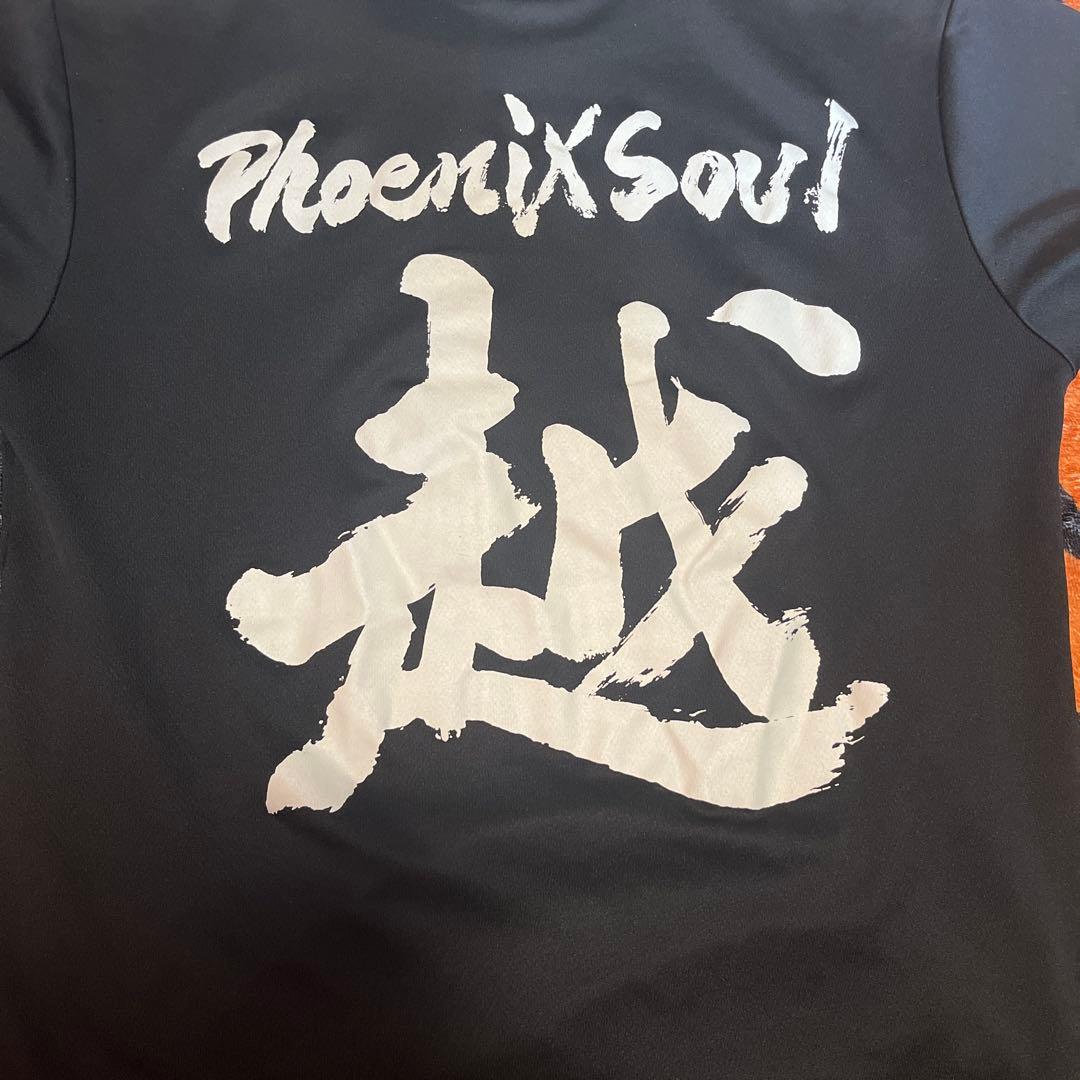 ラグビーTシャツ各種レア