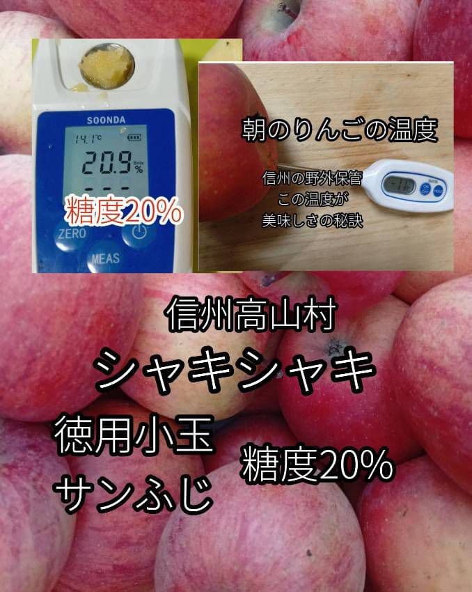 【糖度20度超】信州高山村の小玉フジ15キロシャキシャキ、ジューシーなりんご
