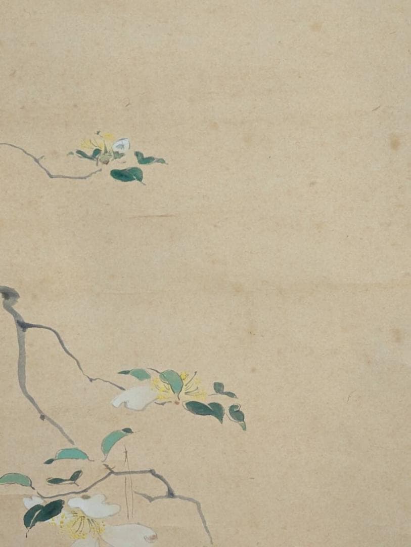 【真作】掛軸　初冬　優雅な花鳥画で季節を彩る　繊細な筆致　共箱入　T179