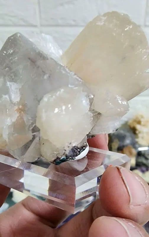 蛍石上のゼオライト