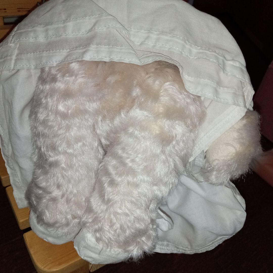 シュタイフ　マドモアゼルアイコ