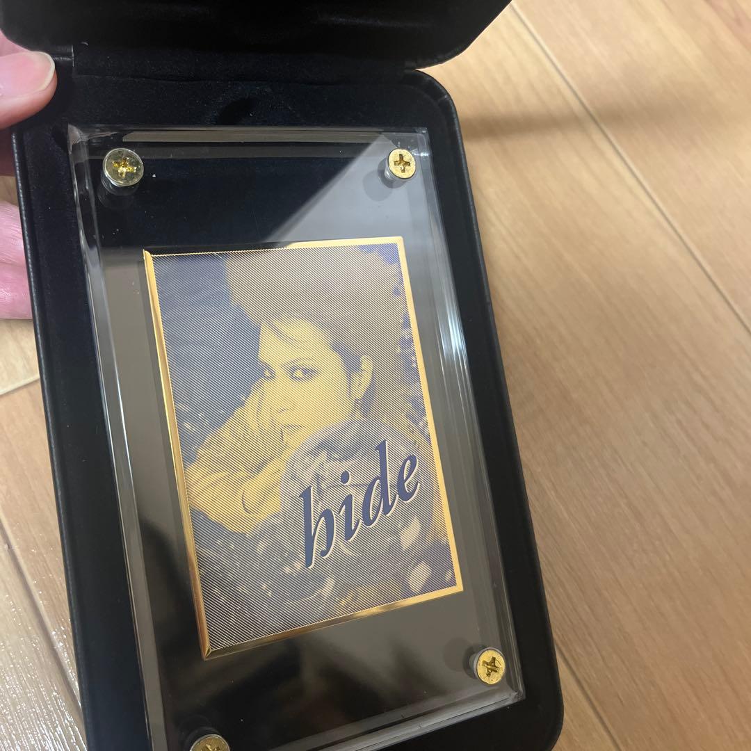 hide プレート　未使用