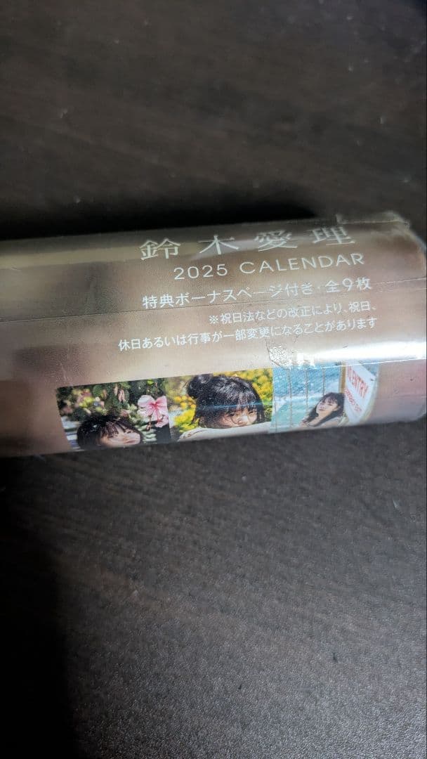 鈴木愛理 DVD・カレンダー・ぬいぐるみ・ポスター・フォトブックグッズセット