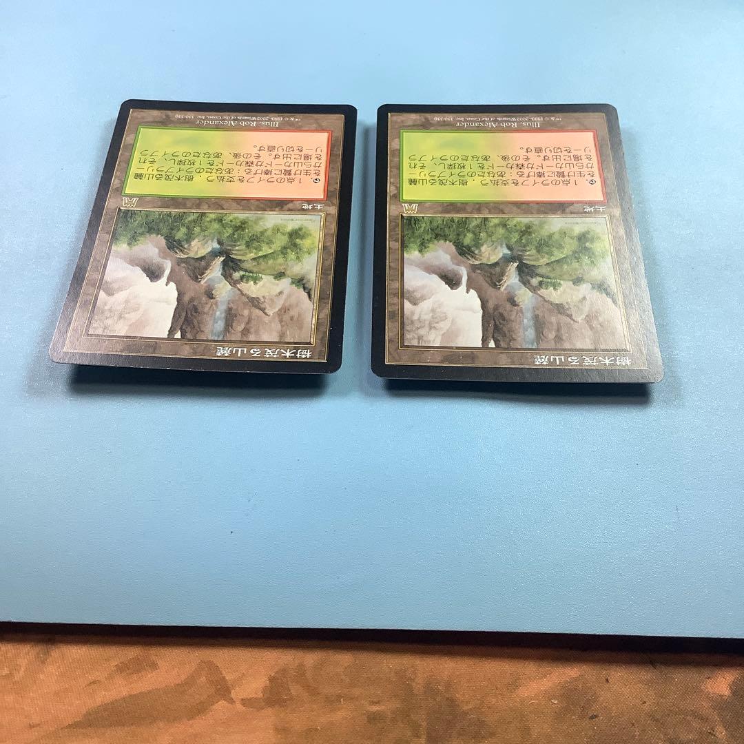 樹木茂る山麓/Wooded Foothills ONS日本語2枚セット