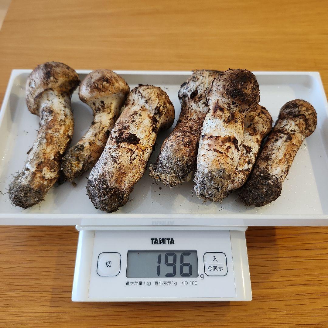 【訳あり‼️】10/17朝採れ　広島県産　松茸　196g