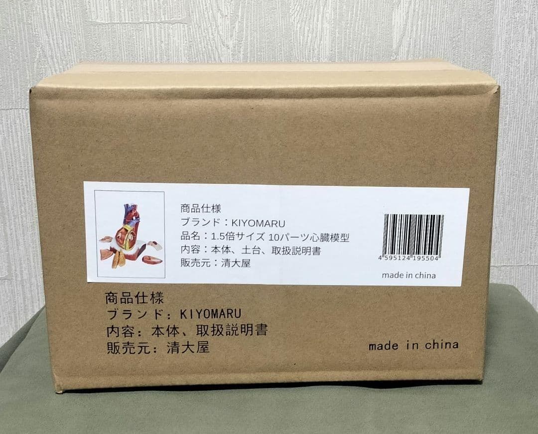 ⭐️新品 KIYOMARU 心臓模型 1.5倍大 10パーツ分解 医療 教育用途