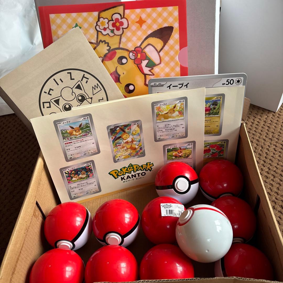 ポケパークカントーピンズ10個とプレミアムボール、シール、研究ノート、プァイル