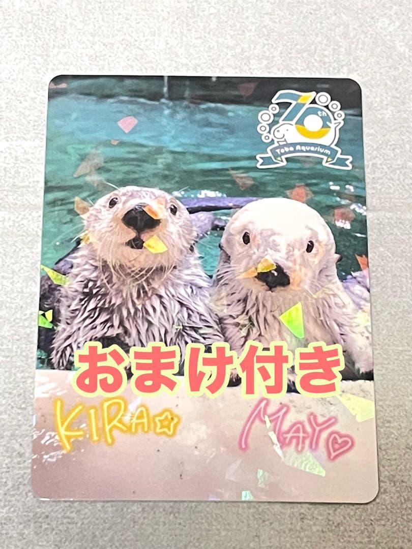 【匿名配送】鳥羽水族館　TOBA AQUARIUMコレクションカード　キラメイ