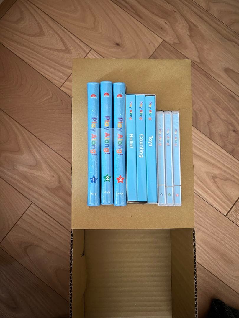 最新版　プレイアロング　Play Along! DWEディズニー英語システム