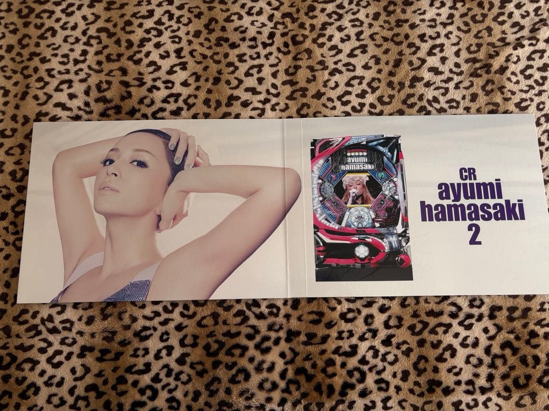 非売品❤︎浜崎あゆみ❤︎特大パンフレット・クリアケース付