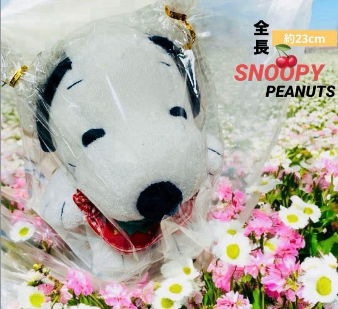 スヌーピー グッズまとめ売り　ぬいぐるみセット　雑貨　Tシャツ　お値下げ中