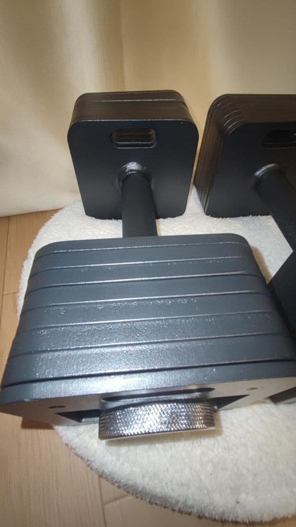 ブランドEisenlink　16kg×2(MINI版)