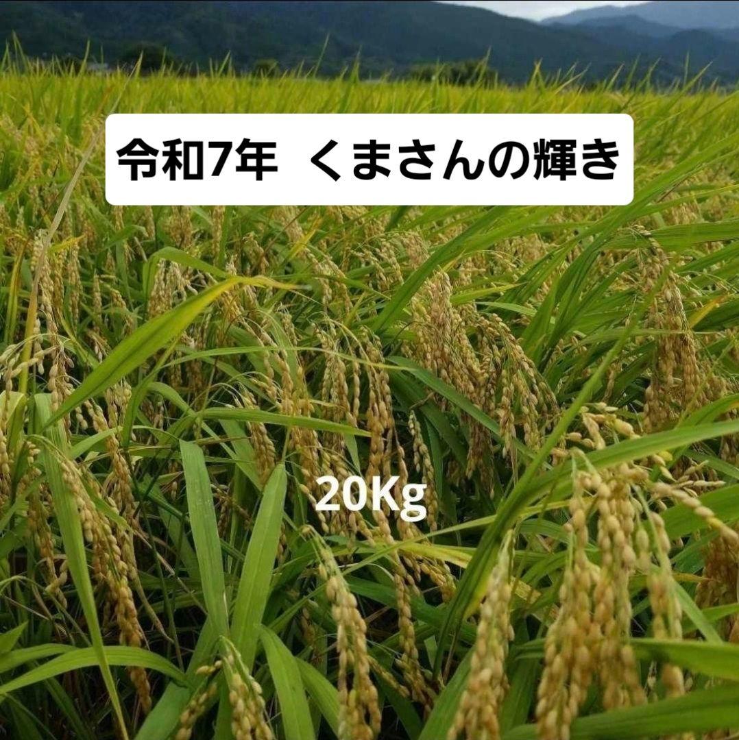 令和7年 熊本県産 くまさんの輝き20Kg 玄米可