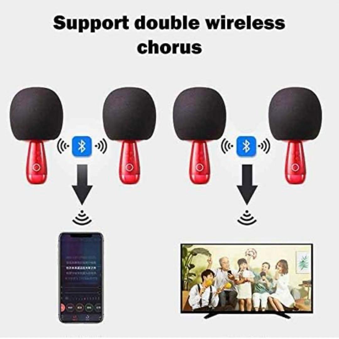 WYDKYD プロフェッショナルマイク 赤　白　ティックトックツイッチ