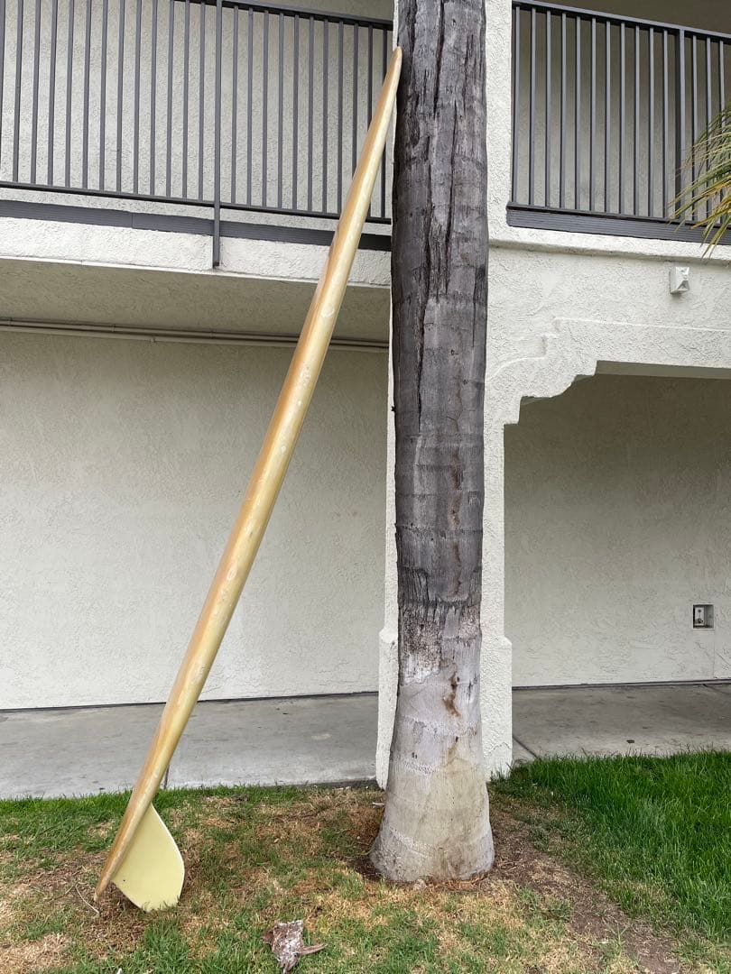 ◆専用◆60's ビンテージ PIG◇CON ロングボード◇10'2\" Dフィン