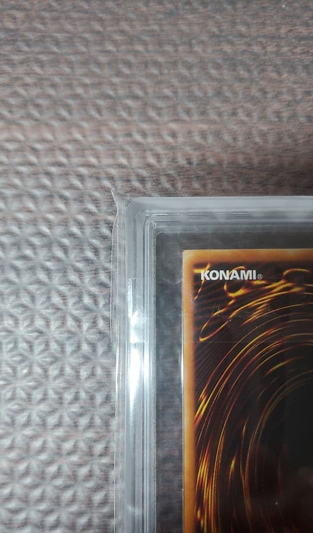 二頭を持つキング・レックス　ARS10【極美品】