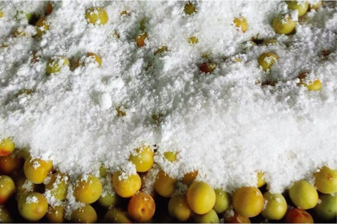 無添加かわあつ梅20kg 白干し梅