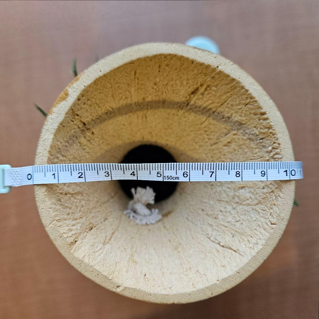 フラダンス用 楽器 イプ 幾何学柄カバー付き