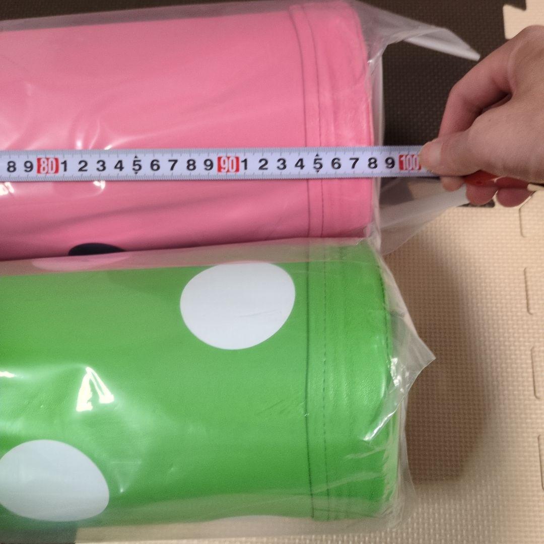 本日特別価格！Axis Former アクシスフォーマー ストレッチポール　2個