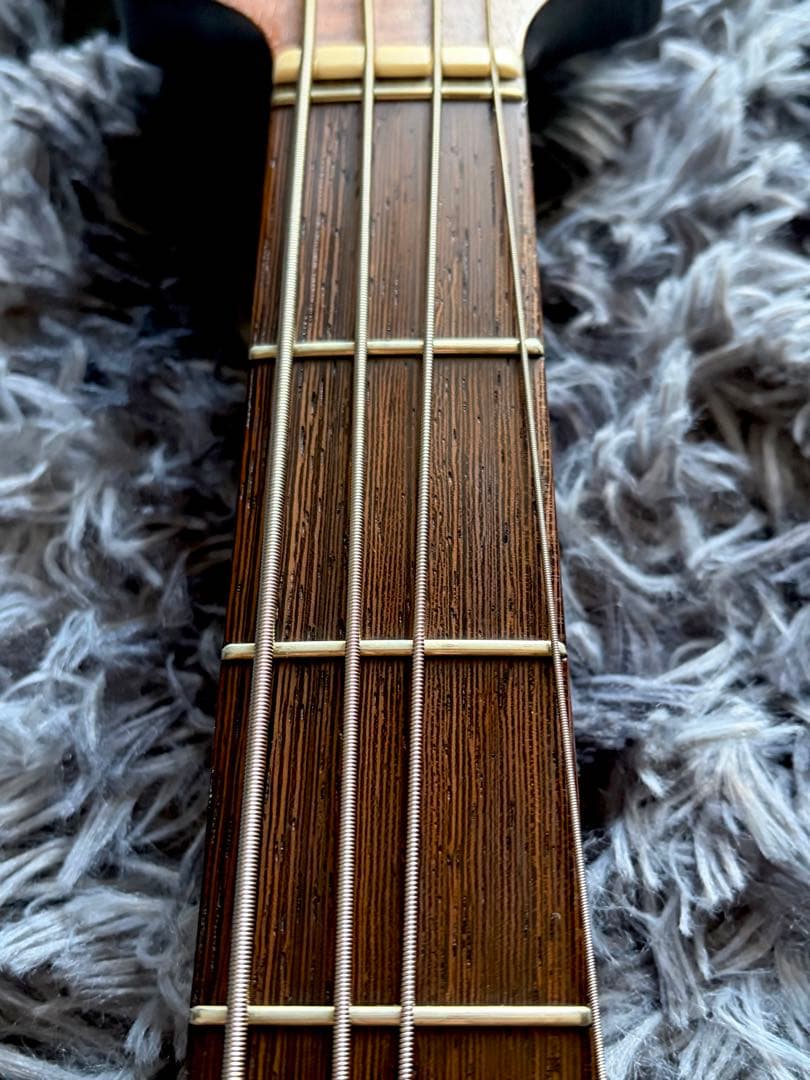 ベース Elrick Gold Series Revolution 4