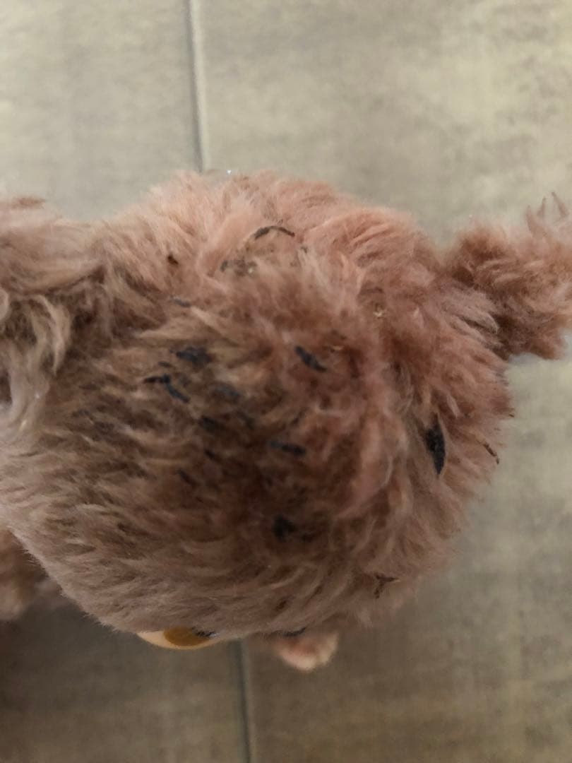 タヌタヌ　ぬいぐるみ