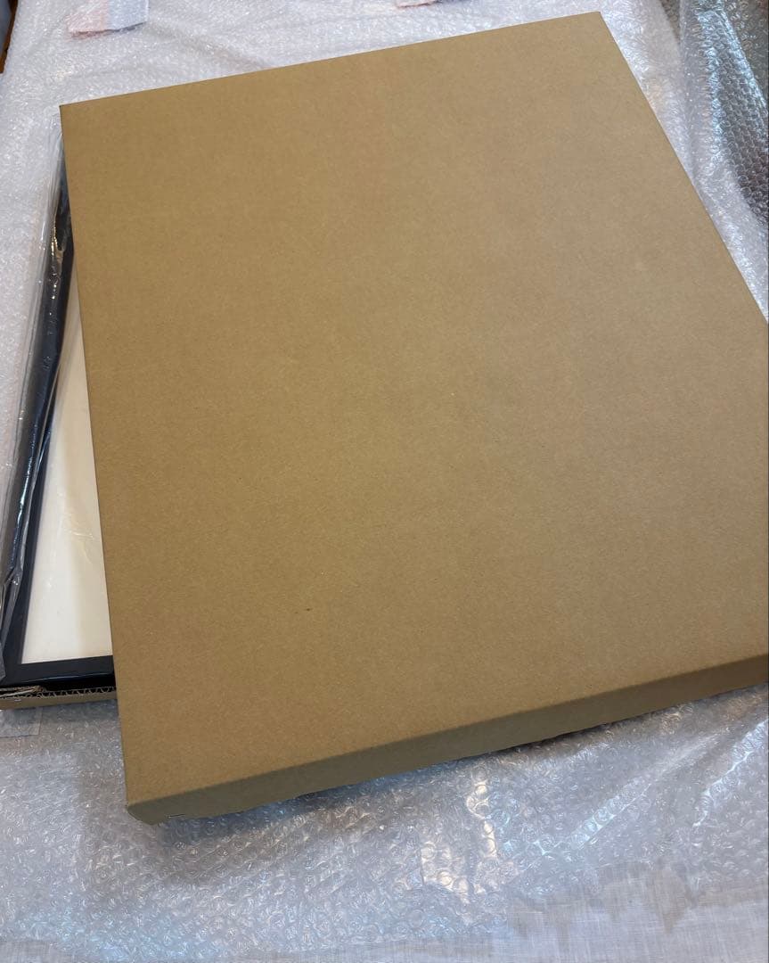 アントワネット・ポワソン　ドミノペーパー Grenades グレネード　額装