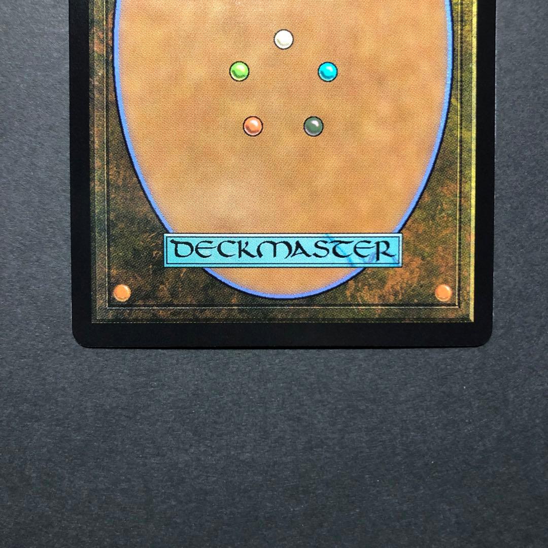 ドイツ語　ユウナのガード、ティーダ　サージFOIL MTG